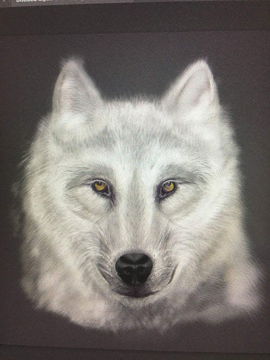 Unleashing the Spirit: Creating a White Wolf Portrait in Photoshop - A Work in Progress - by Amy Champagne